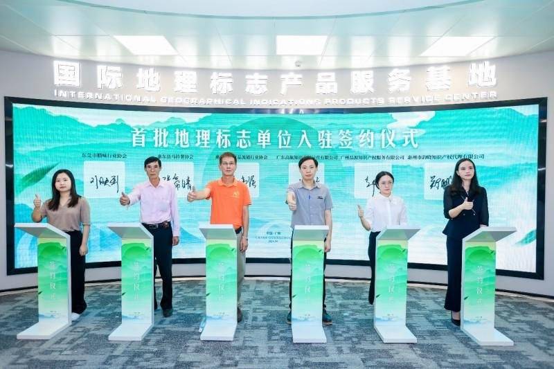 石斛荣膺千年药典桂冠 ICGIA李锦开教授领衔权威论证以科学实证重塑中医药文化根脉pg电子中国网站ICGIA赤水市人民政府公告 中华九大仙草之首科学正名：赤水金钗(图2)